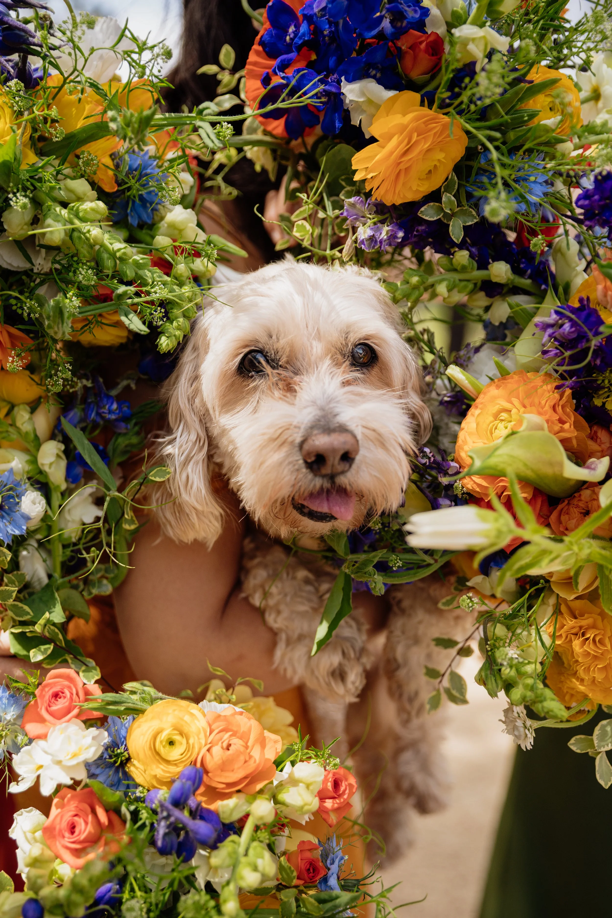 Cassidy-Alex_The-Highlands-Estate-Wedding_20260502_dianebphoto_0073.jpg