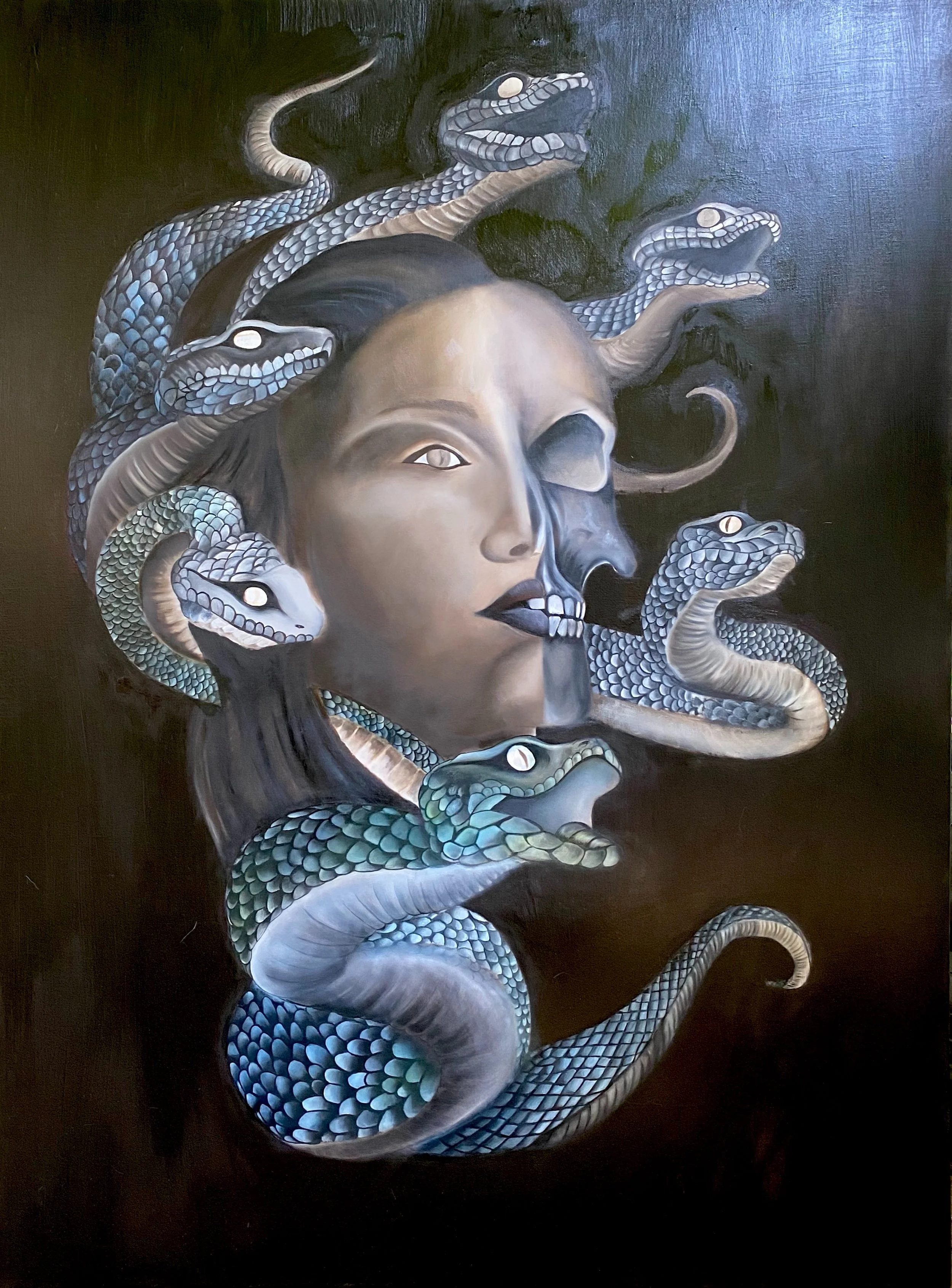 dapsa_medusa.jpg