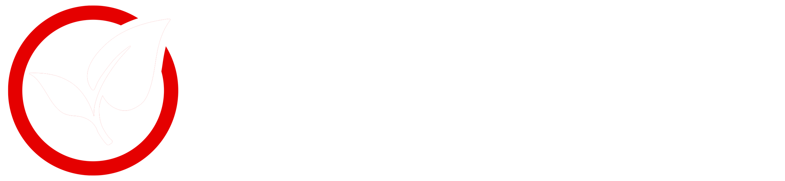 Logo for a topical pain relief product featuring a white leaf inside a red circle, with the text "Essential Oil Formula, Topical Pain Relief, Trusted Since 2000" in white.