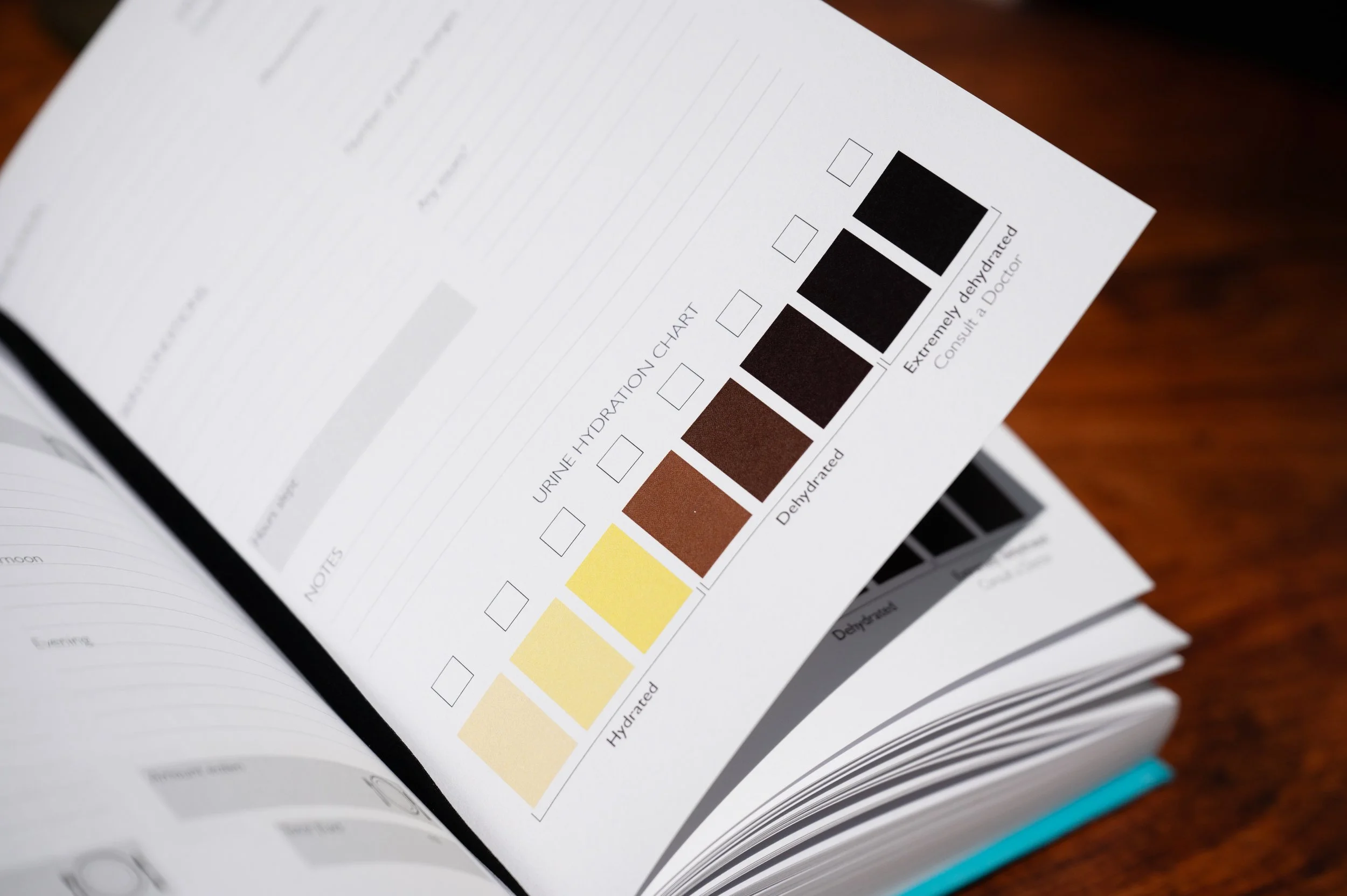 Urine hydration chart showing colour spectrum from yellow (hydrated) to dark brown/black (exhaustively dehydrated) with checkboxes for tracking hydration status