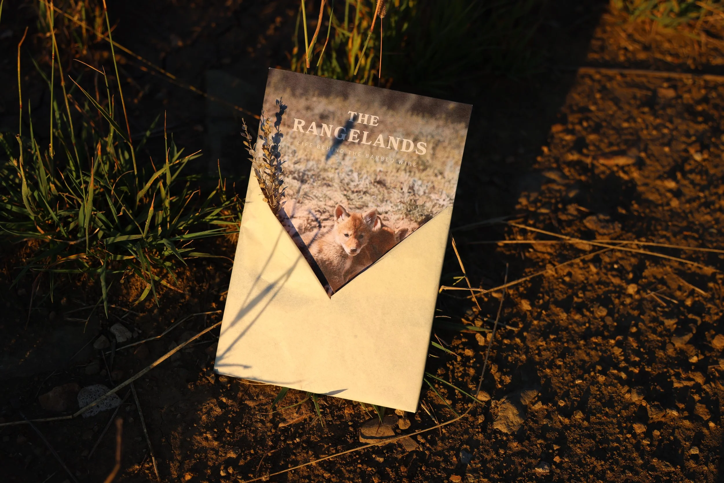 The Journal - Spring on the Prairie