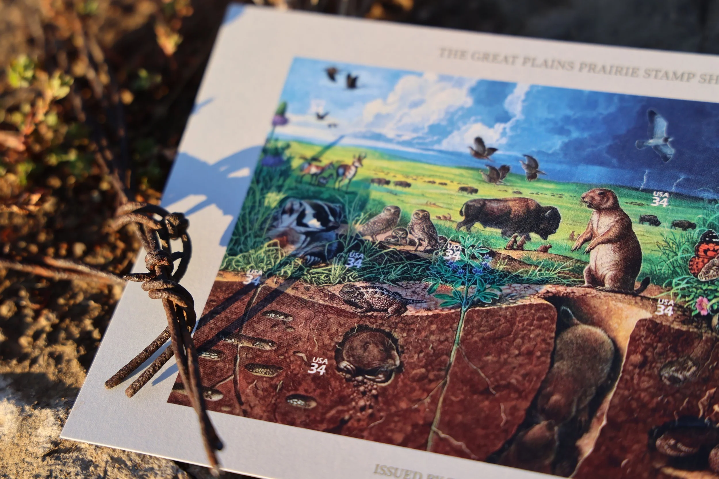 242A7638.JPG