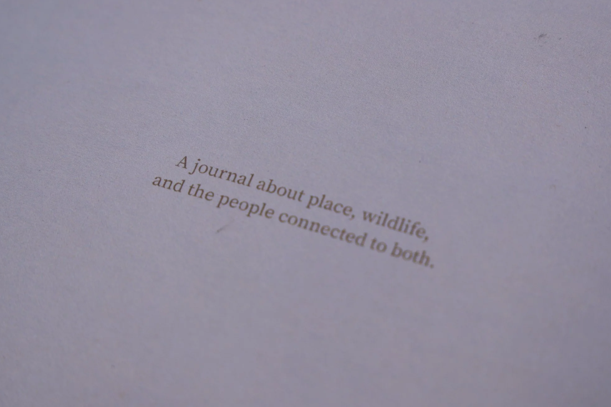 242A7669.png