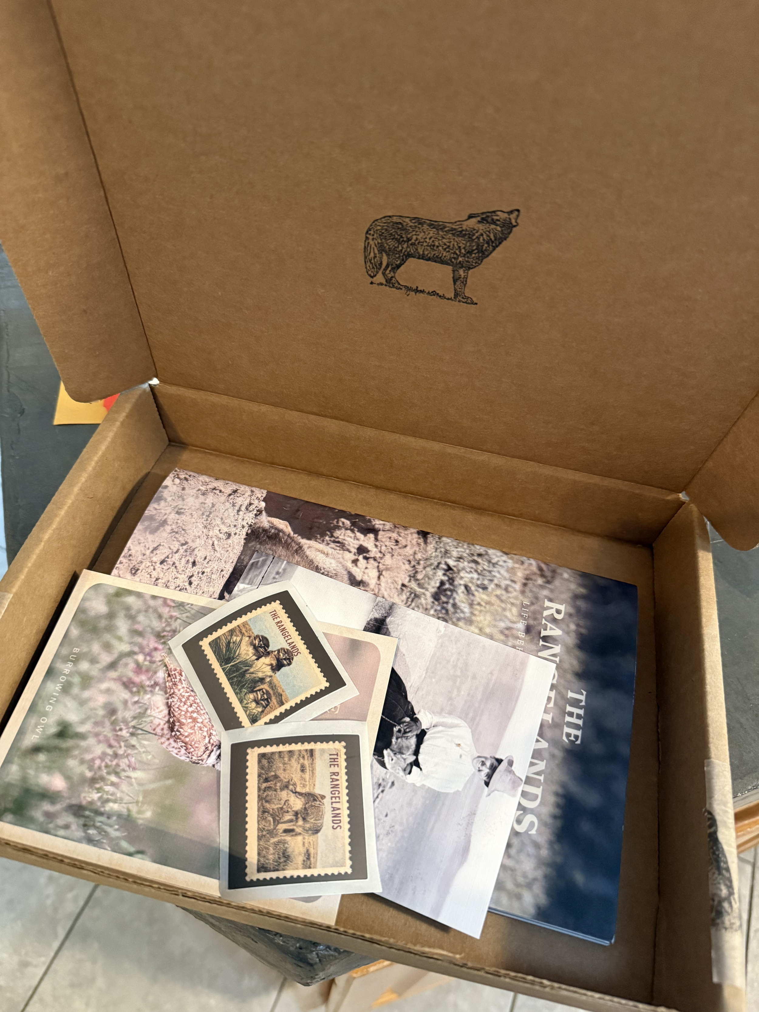 Spring Prairie Box - 2026