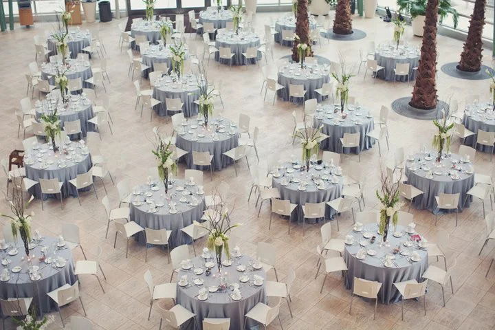 Indoor banquet hall with multiple round tables draped in gray tablecloths, decorated with tall vases of flowers, and surrounded by white chairs, with palm trees in the background.