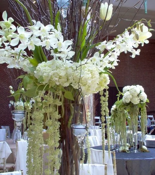 Elegant floral arrangement with white orchids, hydrangeas, roses, and cascading greenery at a decorated event space.