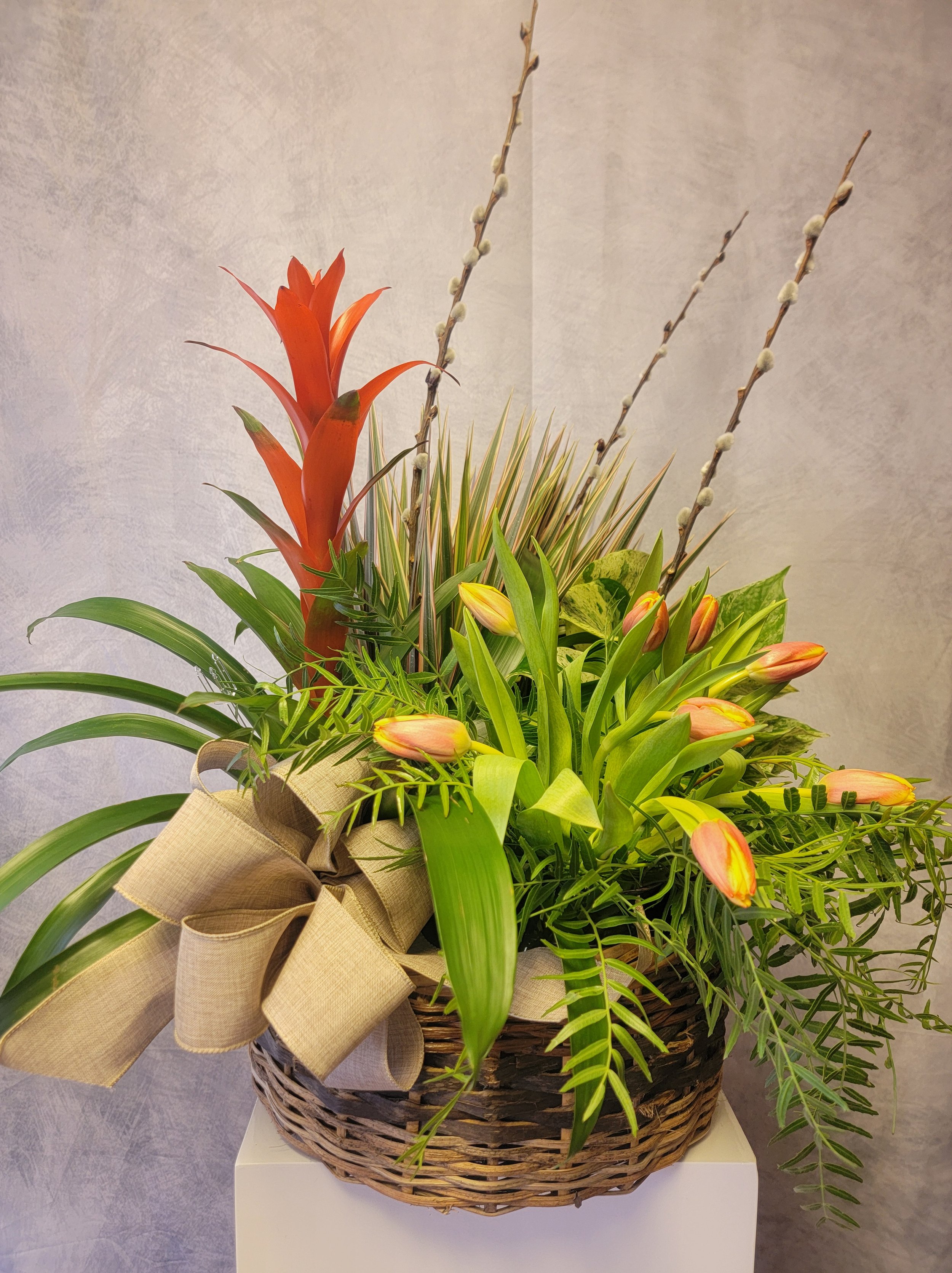 Designer Selection Planter Basket