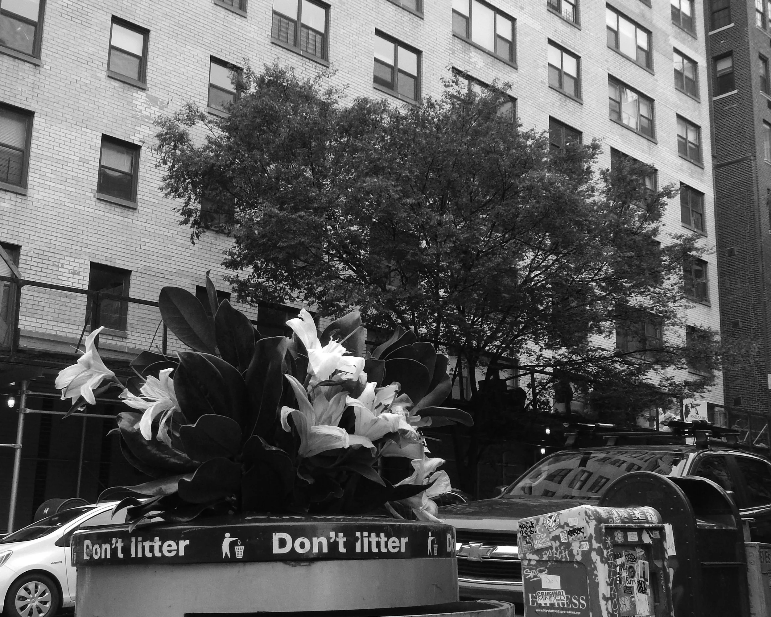 Untitled Photo (2025)