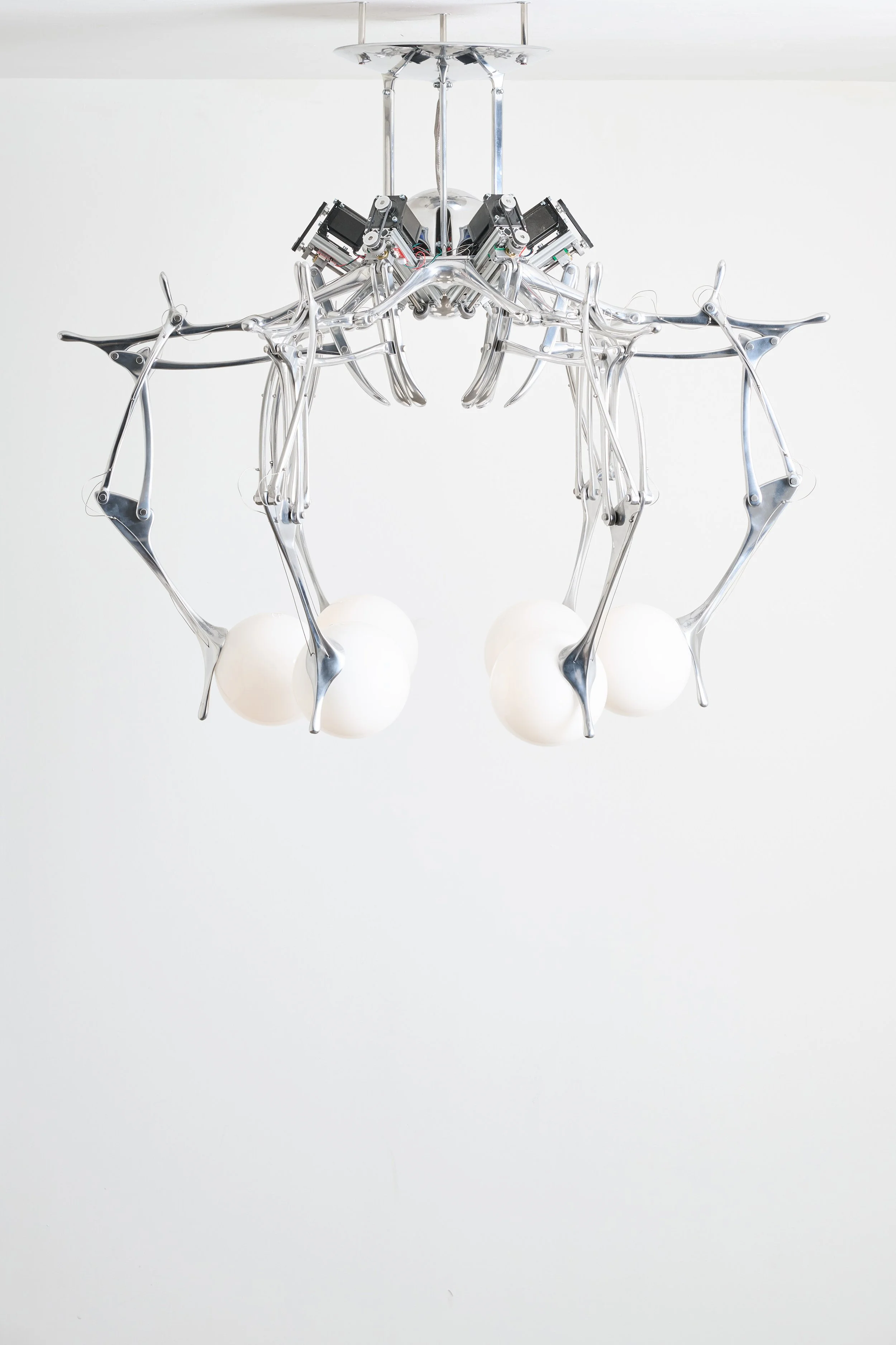 A1110V_11_PhotoByFilippoPincolini.jpg