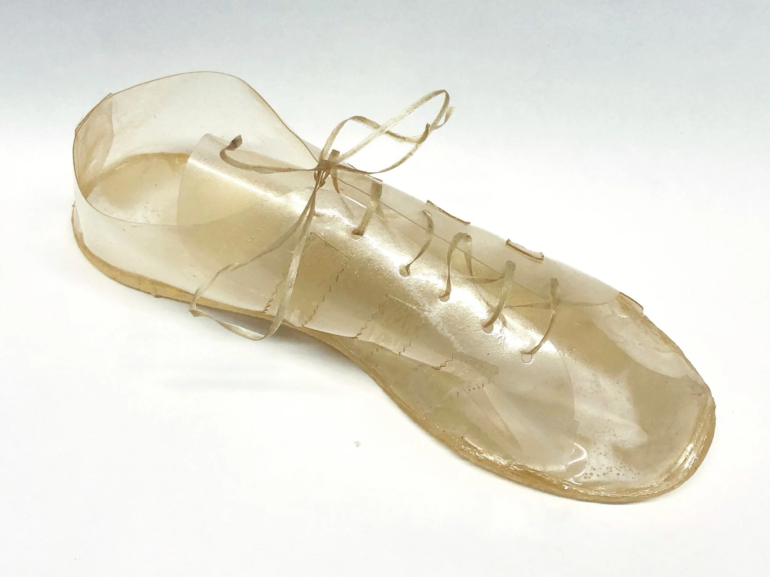 Bioplastic shoes and the beginning of a PhD