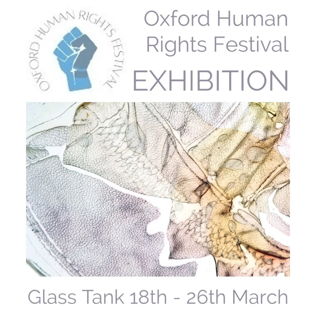 Trace - Oxford Human Rights Festival exhibition