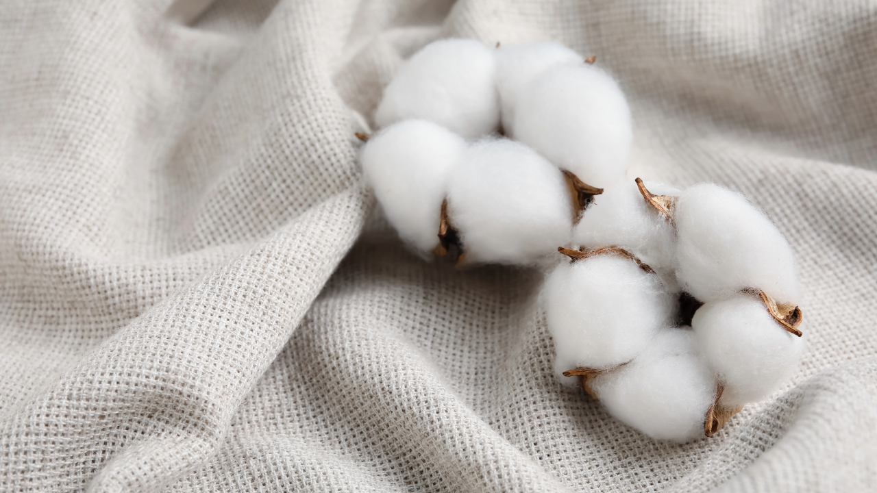 Cotton
