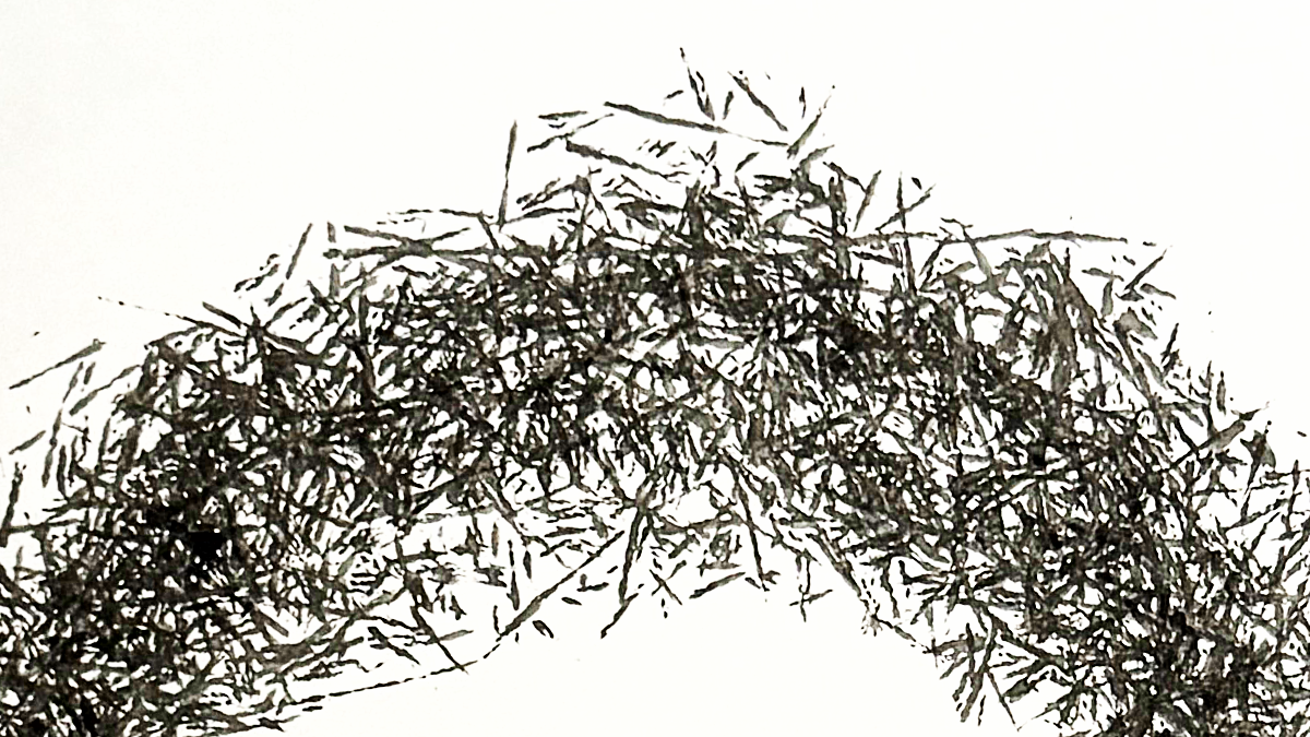 Why people lose their creative identity after life changes