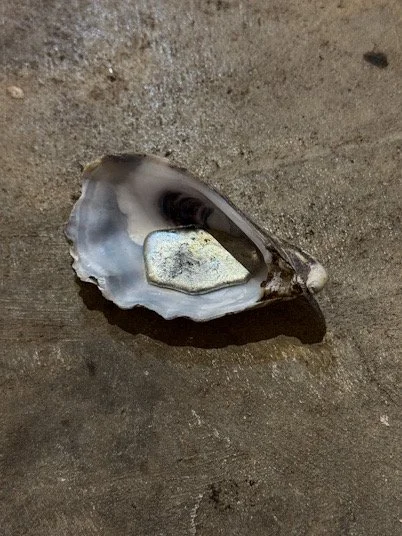 oysterPewter2.JPEG