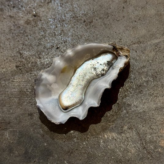 Pewter-Cast Oyster Talisman (1) — Limited Edition