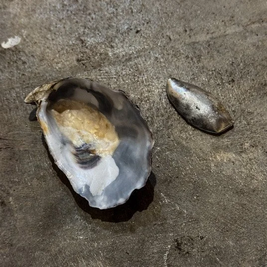 OysterPewter3B.JPEG