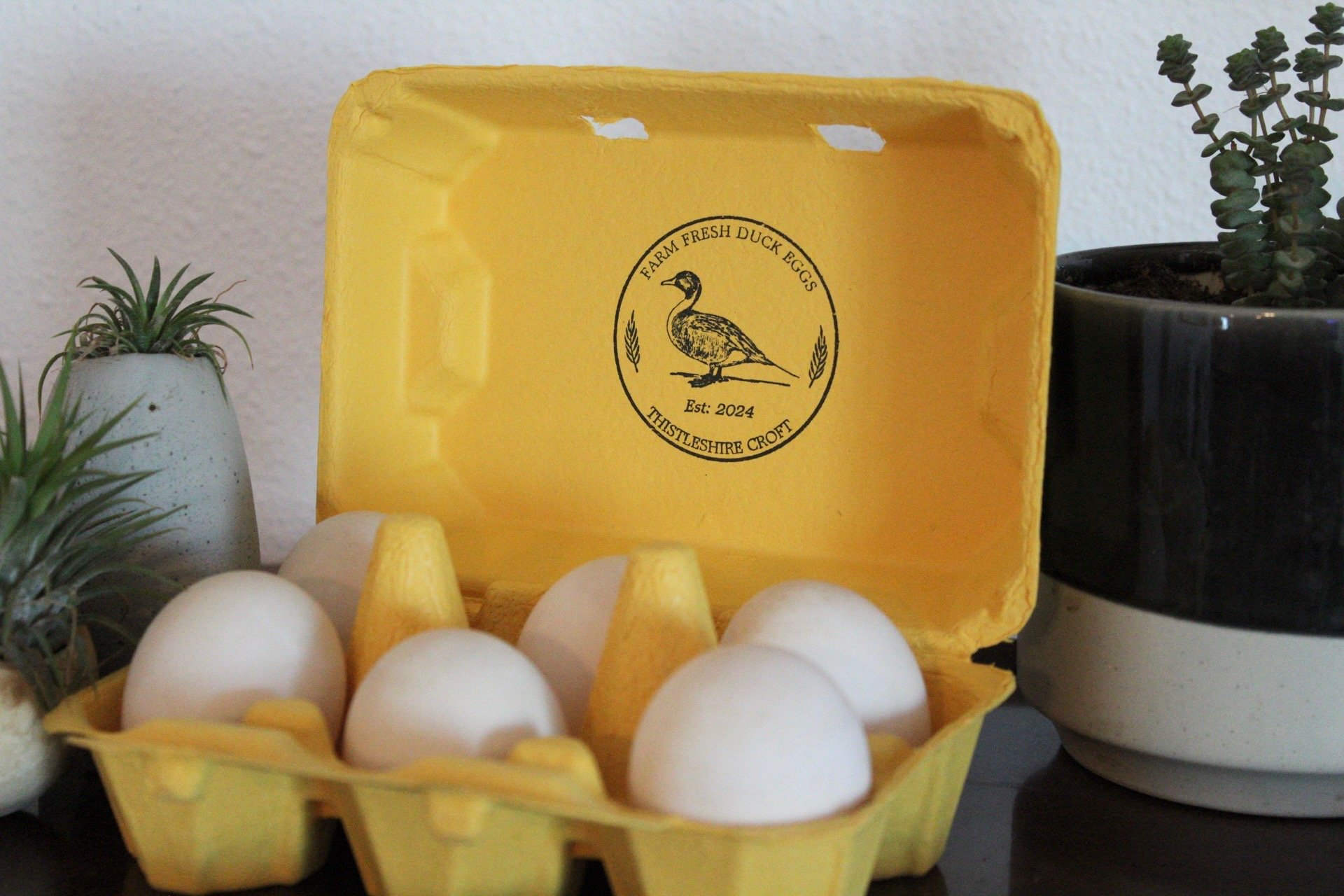 Duck Eggs - 1 Half Dozen
