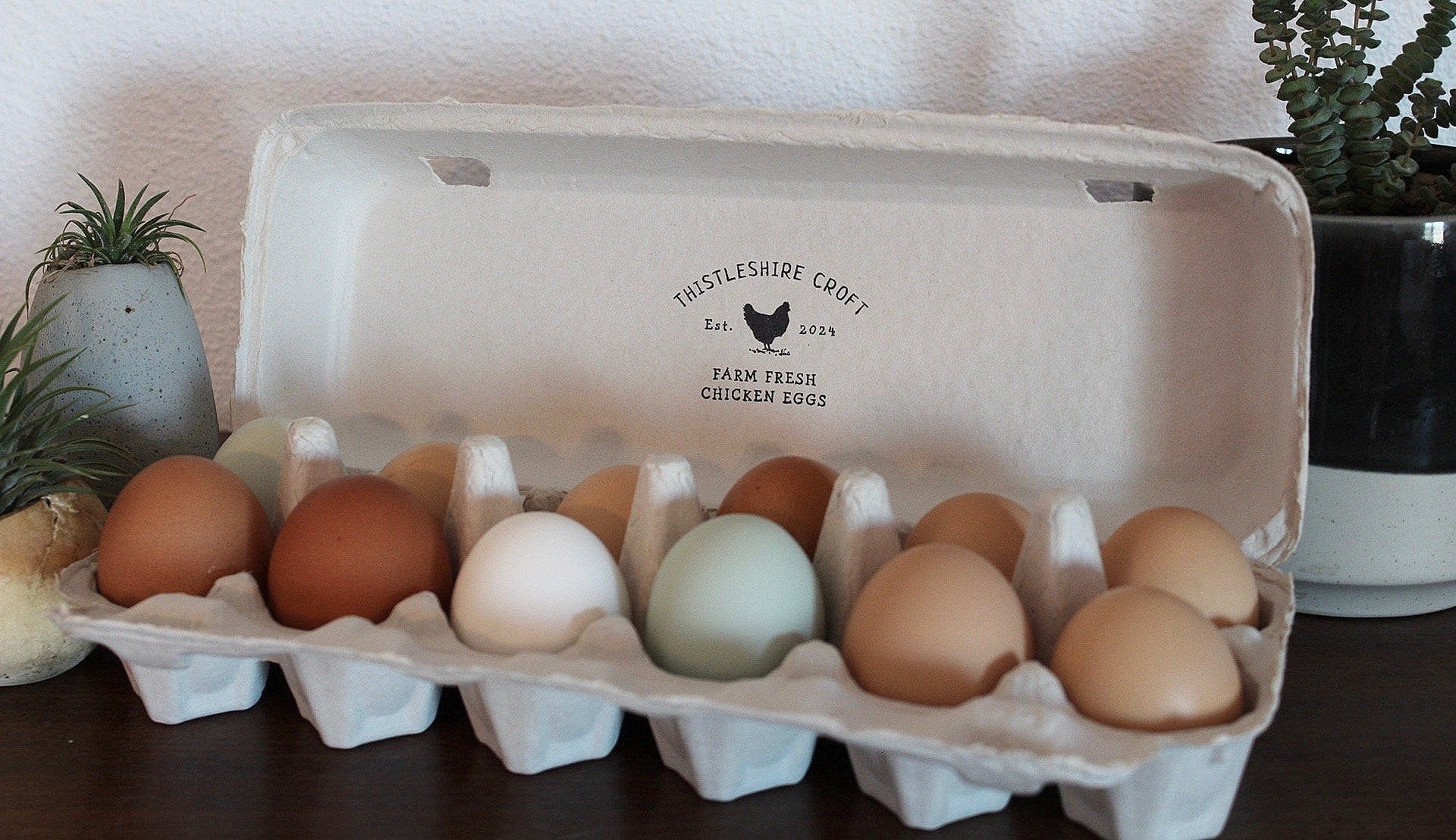 Chicken Eggs - 1 Dozen