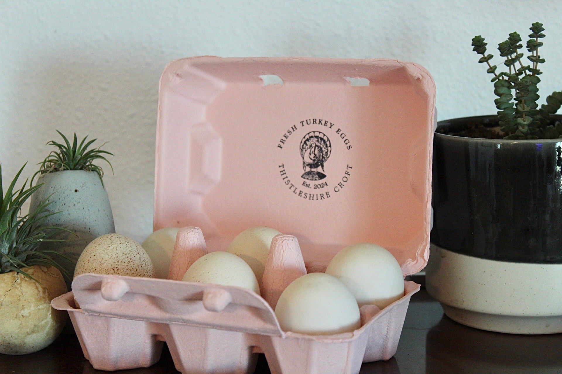 Turkey Eggs - 1 Half Dozen
