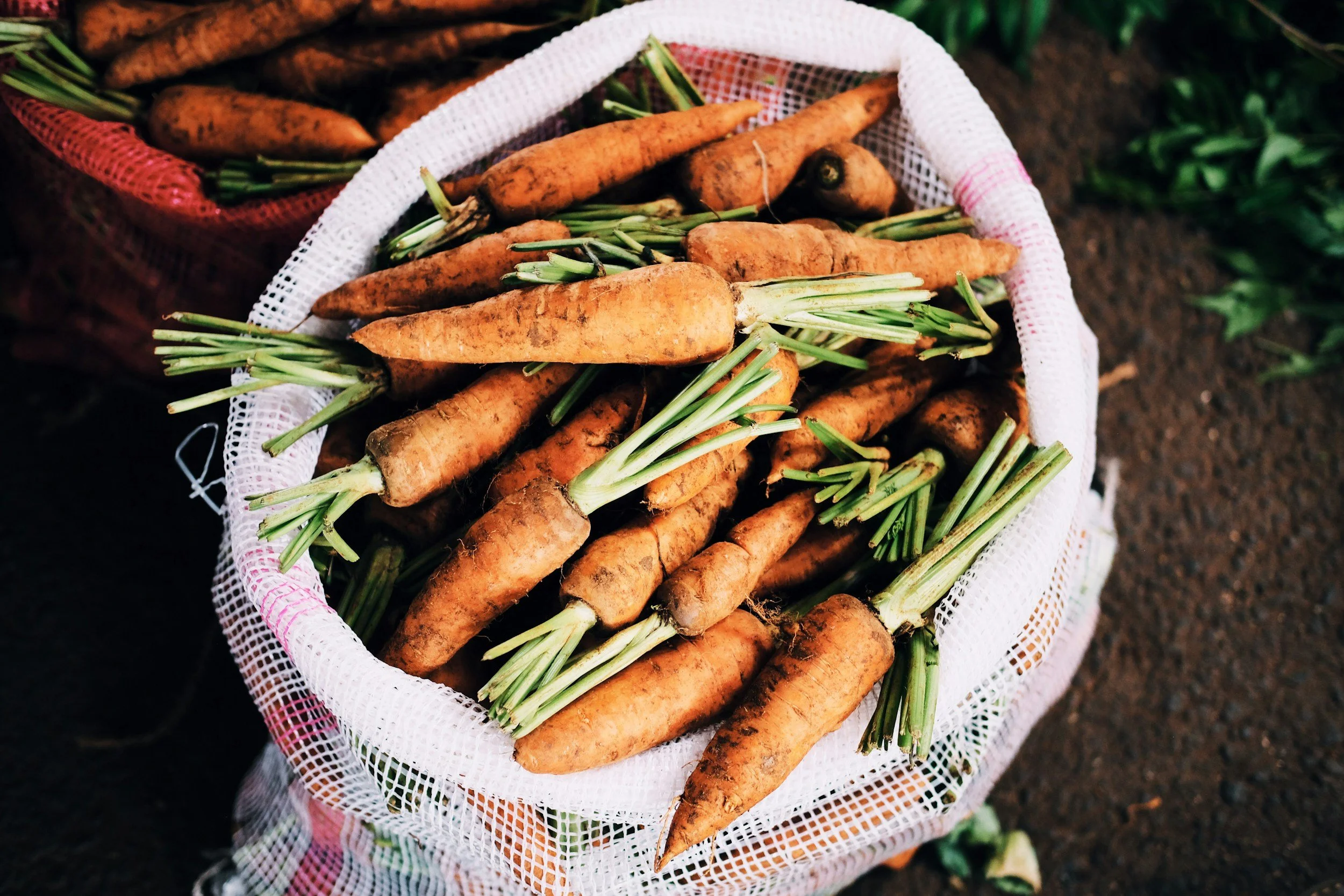A mesh bag filled with freshly harvested carrots on a farm.