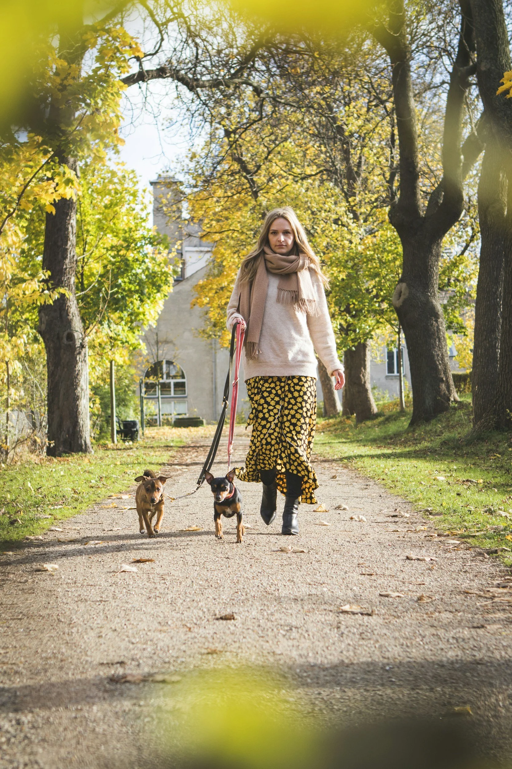 Walking dog in park