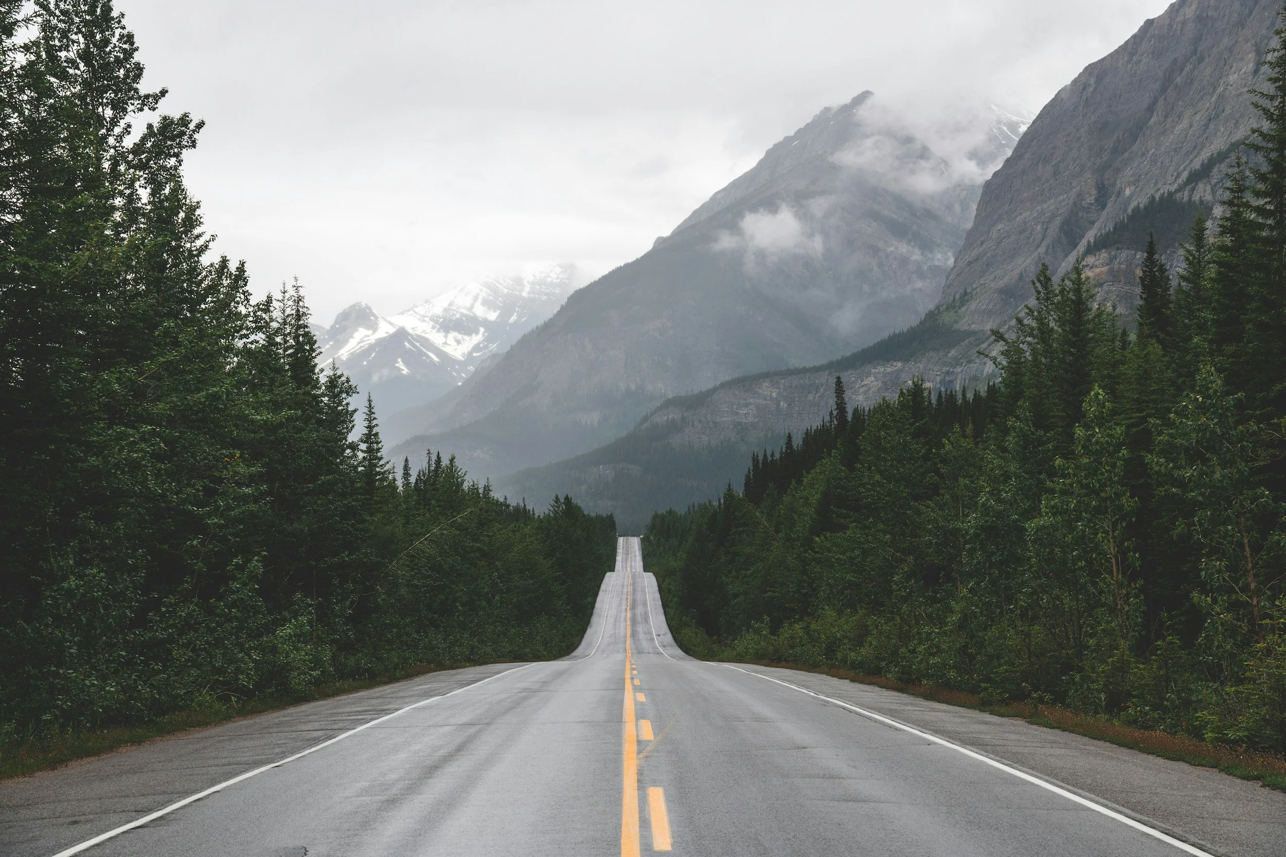 My Favorite Scenic Drives