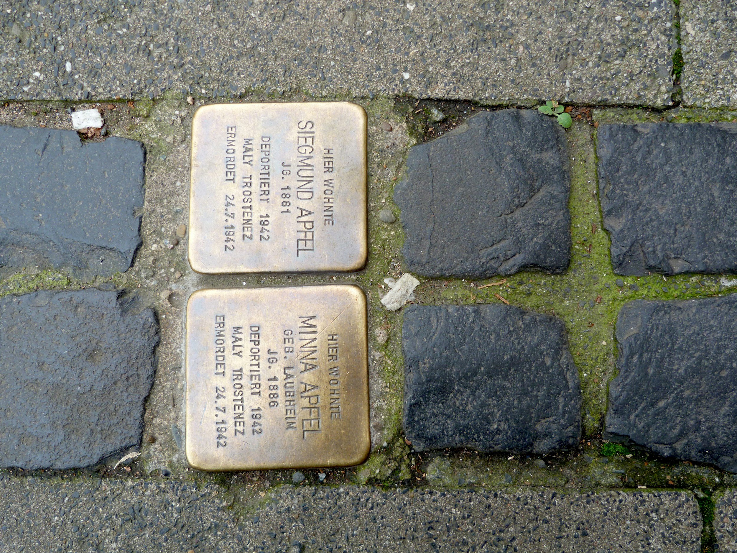 Jewish in Germany