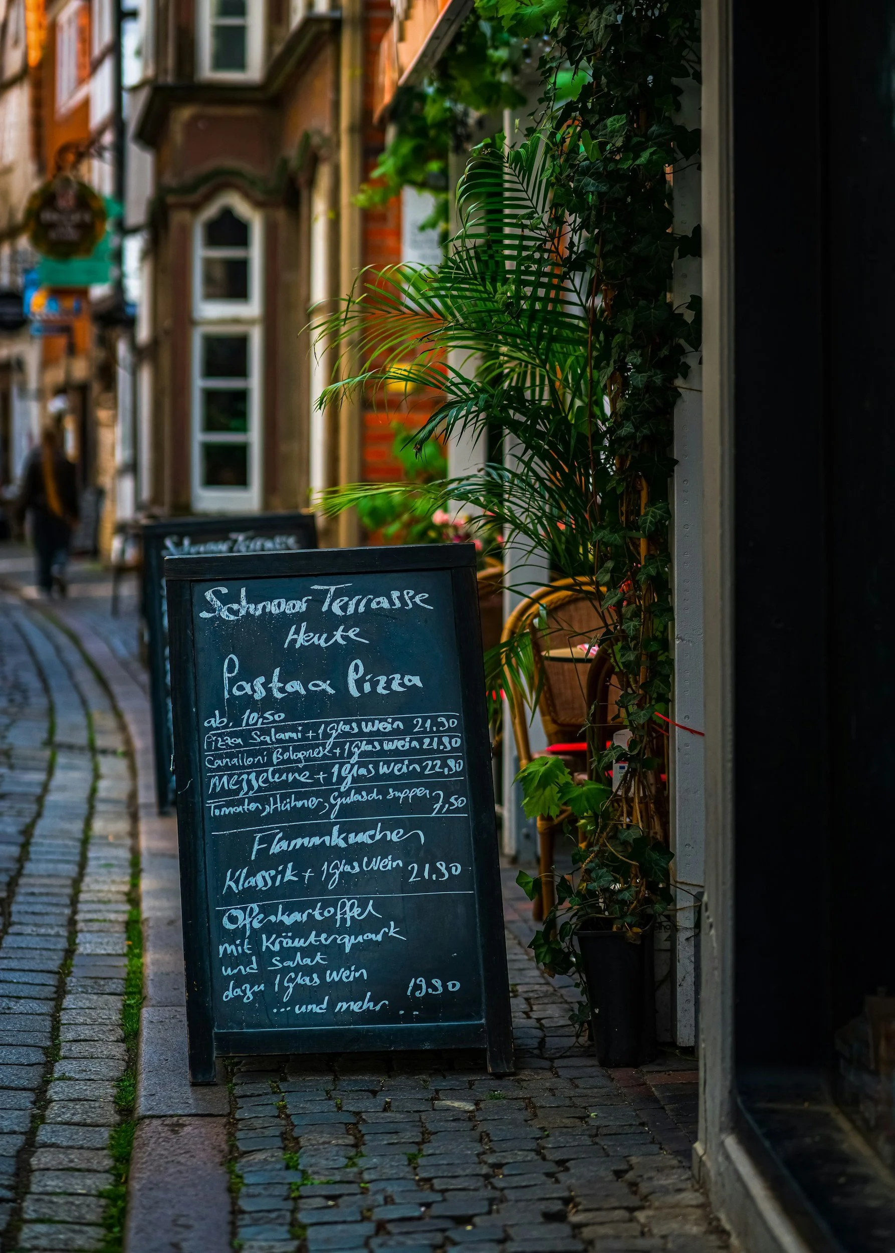 Reading A German Menu 