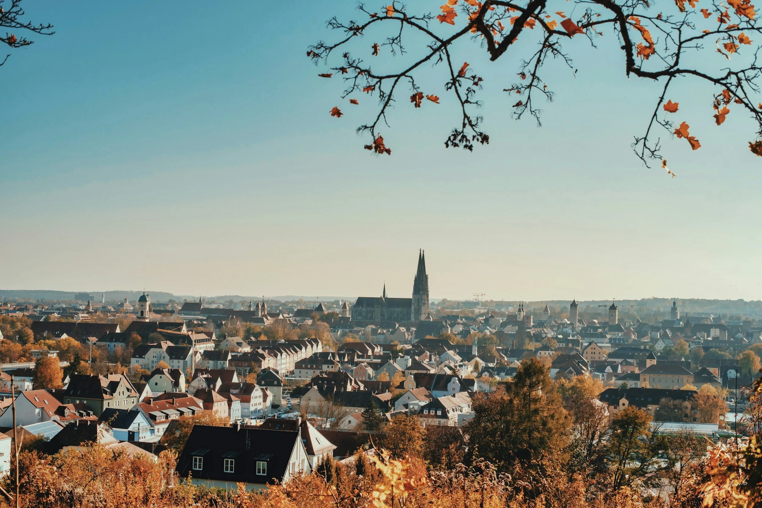 Fall