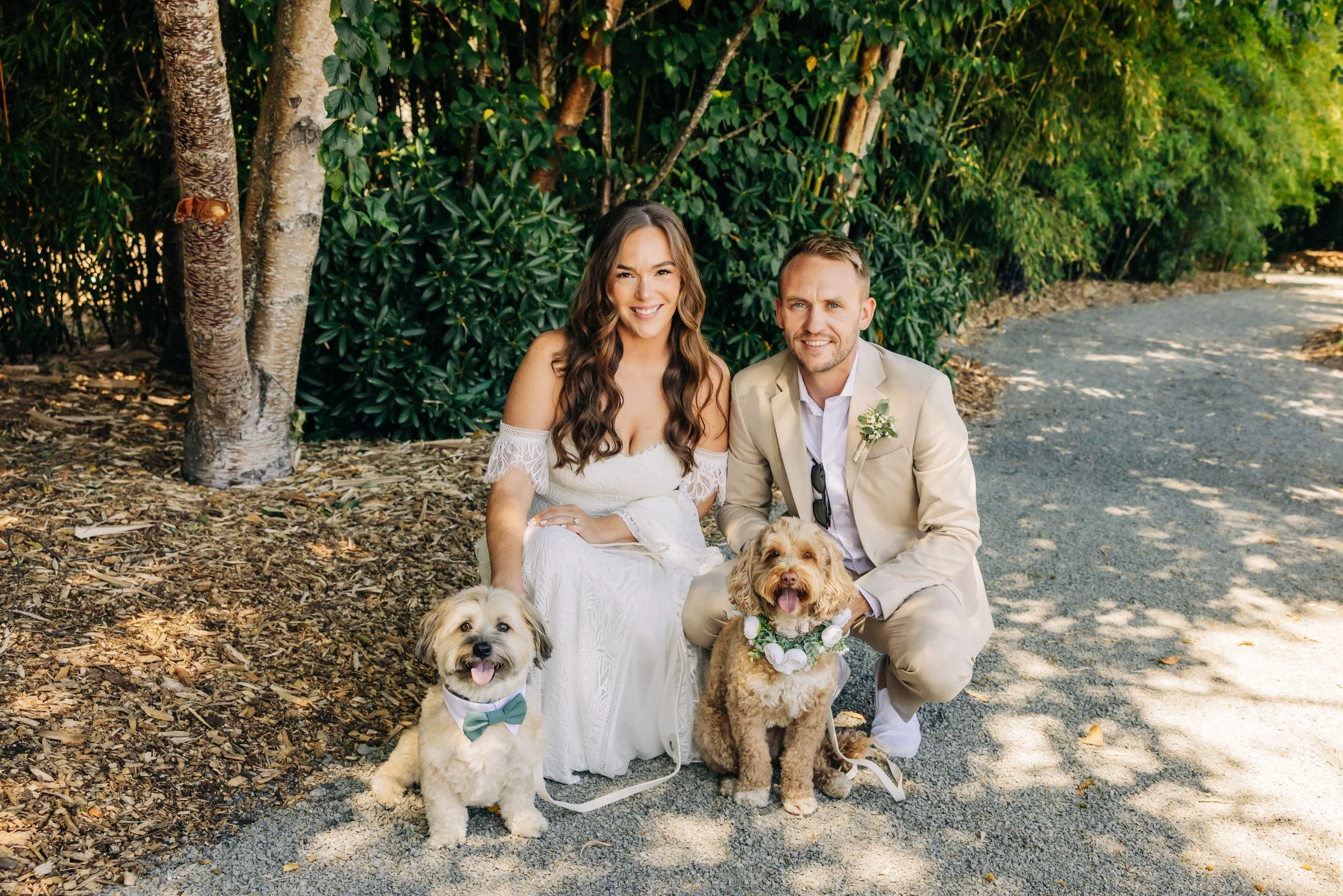 Bride and groom with their dogs at Woodinville Lavender. 
