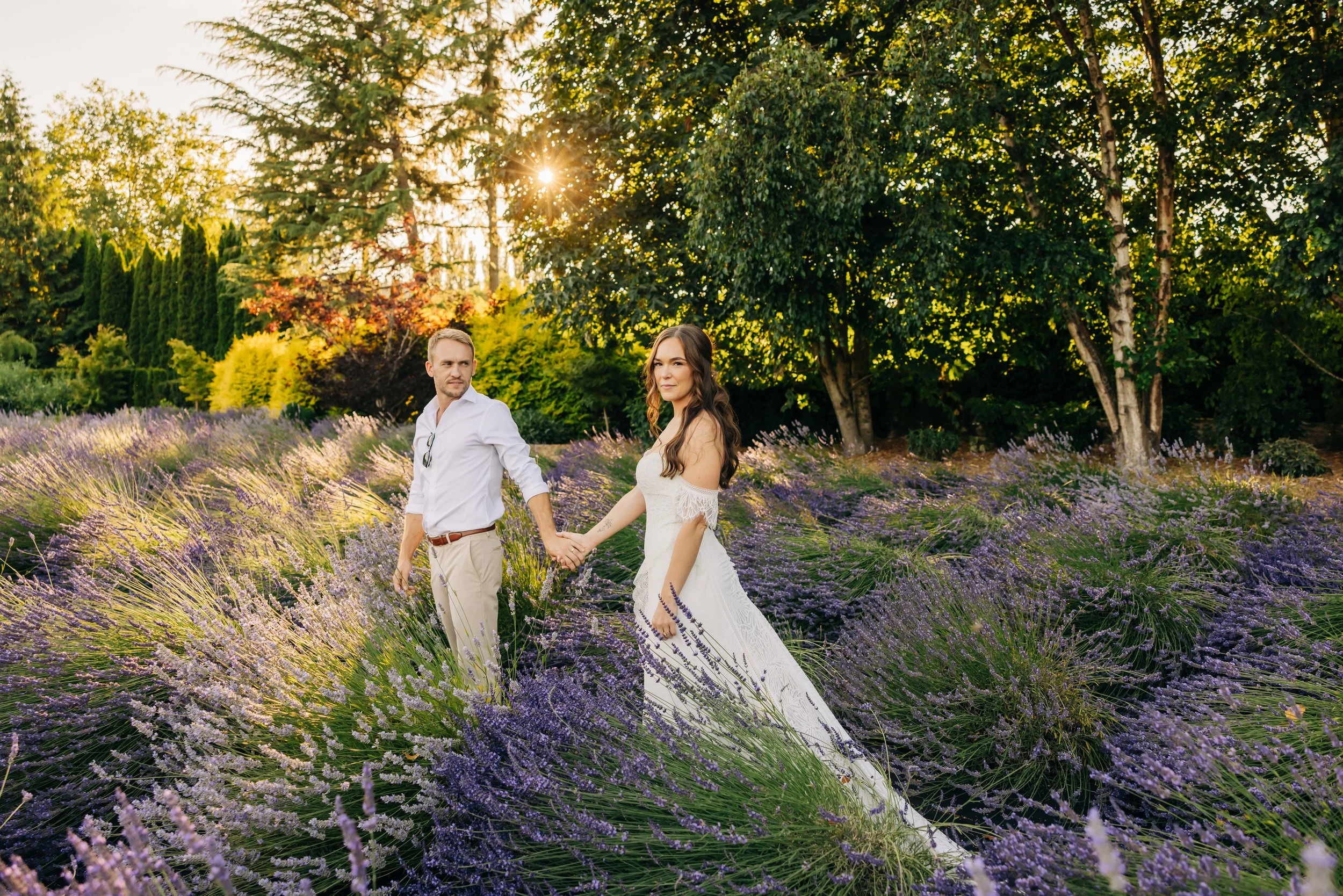 Woodinville Lavendar