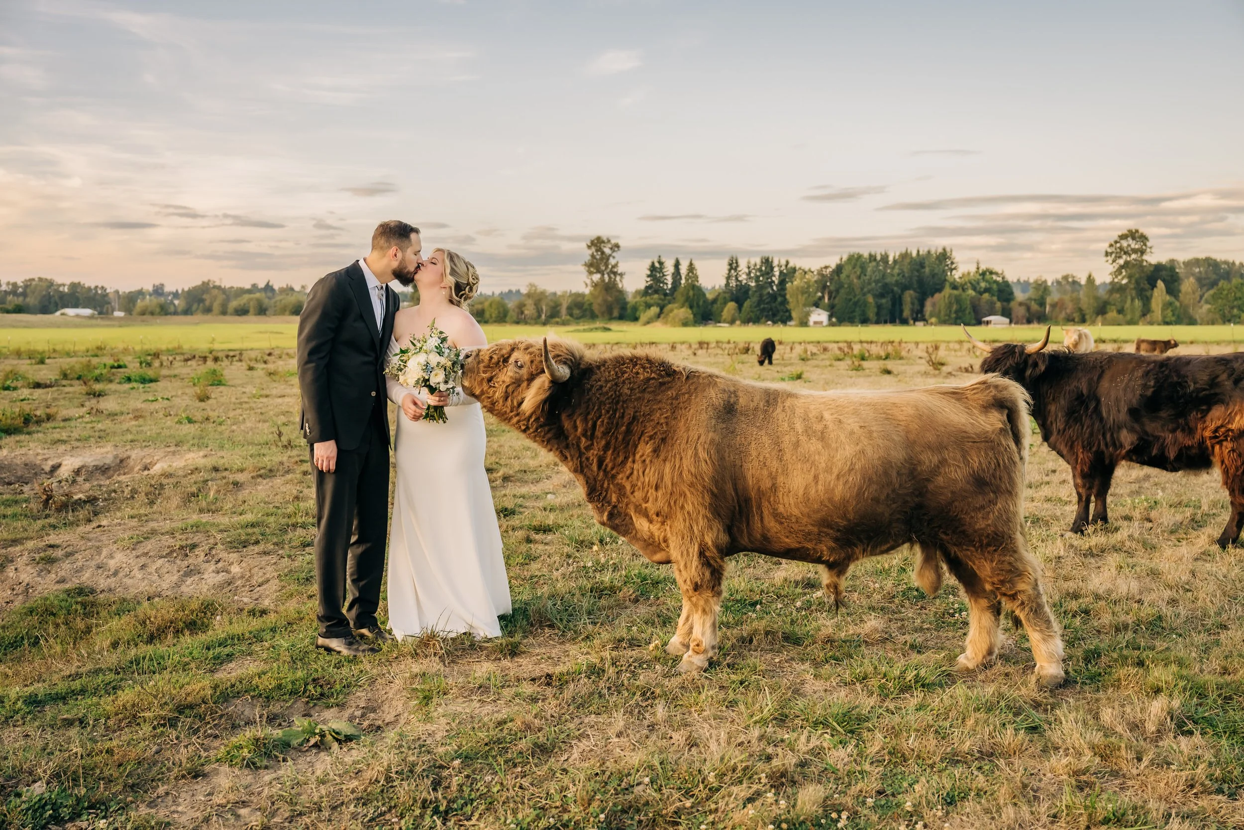 Pemberton Farm wedding portrait with cows.