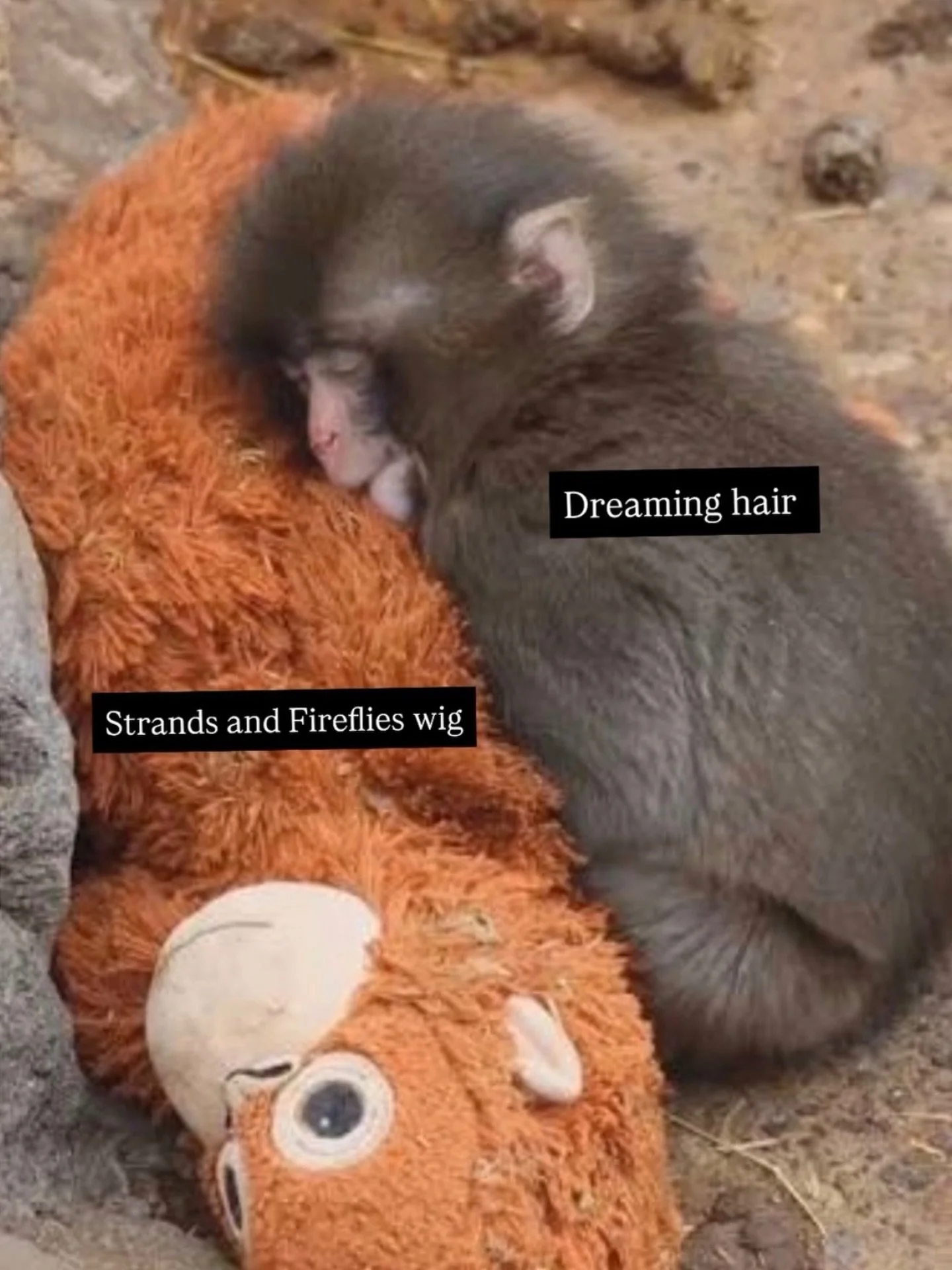 At Strands and Fireflies your hair dreams come true 🫶✨✨✨
@strandsandfireflies @blossomsstrands #wigsale #rawhair #wigmaker