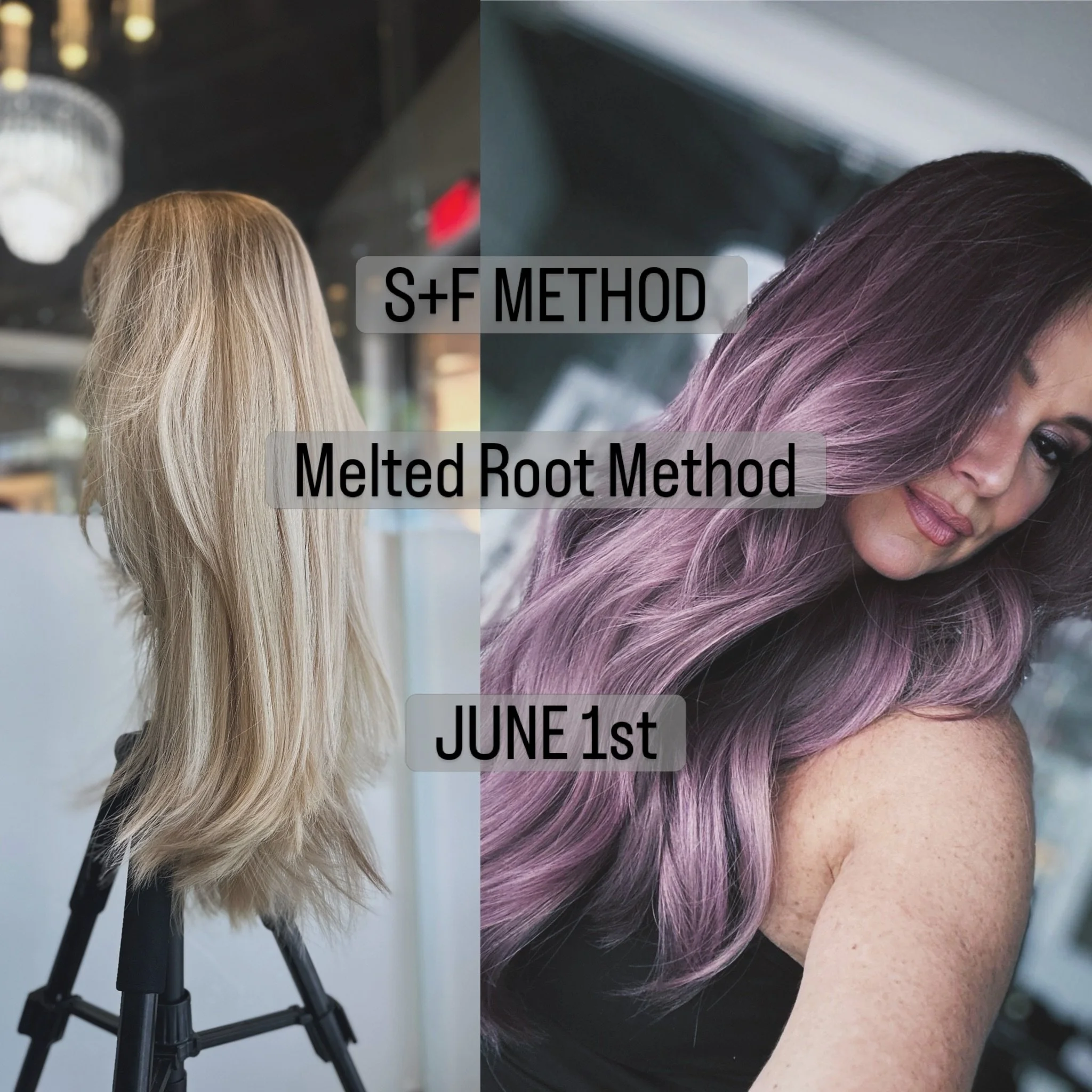 JUNE 1st Strands and Fireflies Academy : SF Method | Melted Root Method !!

180-minute virtual class and transform your alternative hair colouring.
Discover the art of flawless alternative hair coloring with Nathalie, Founder and Owner of Strands and