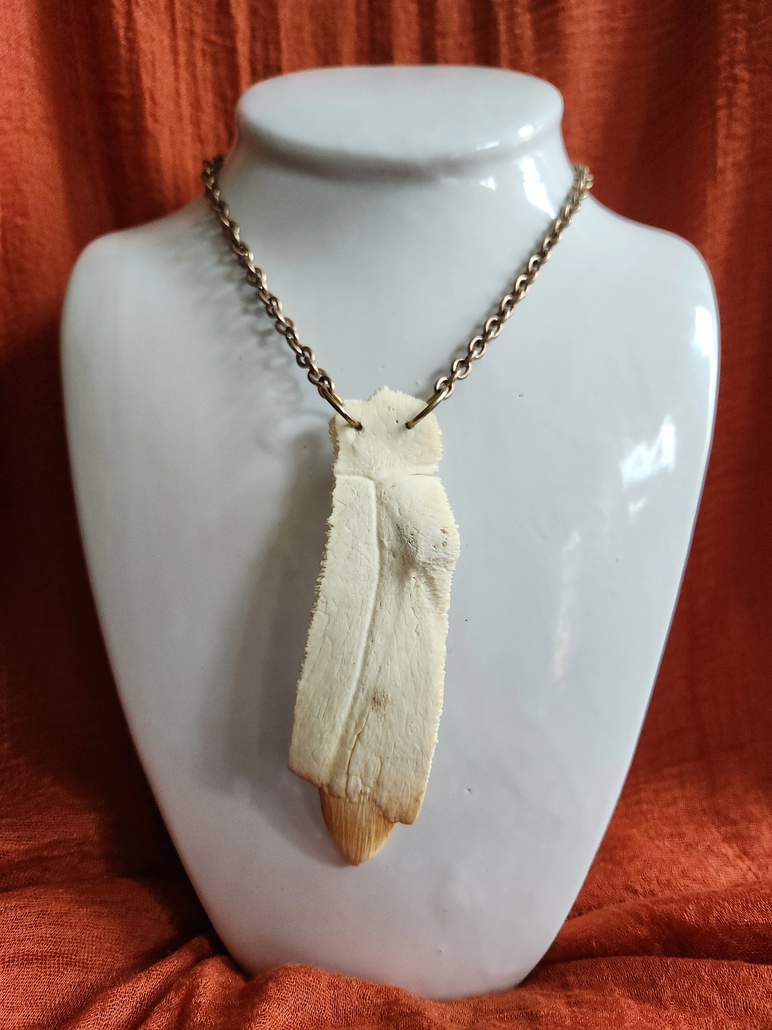 Enveloped In Ground : Necklace