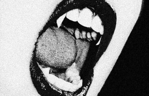 tumblr_67a147f3904e1c8ba92084e9b8de4d55_28206c2f_500.jpg