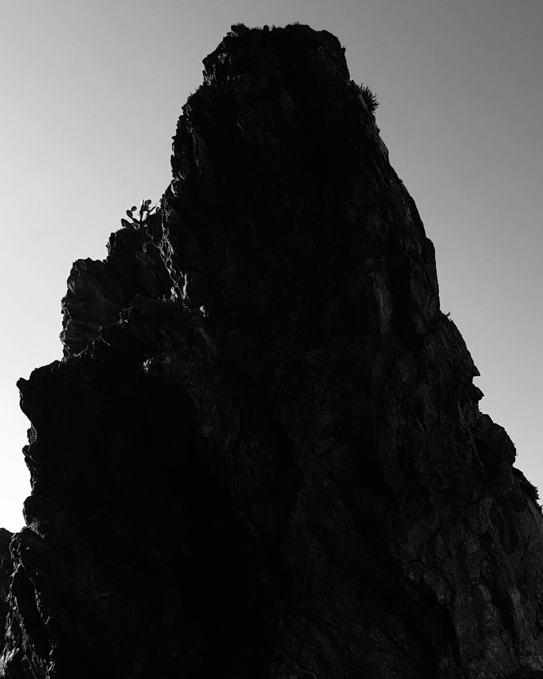 Lafóa Studio - A study in nature - landscape study as inspiration