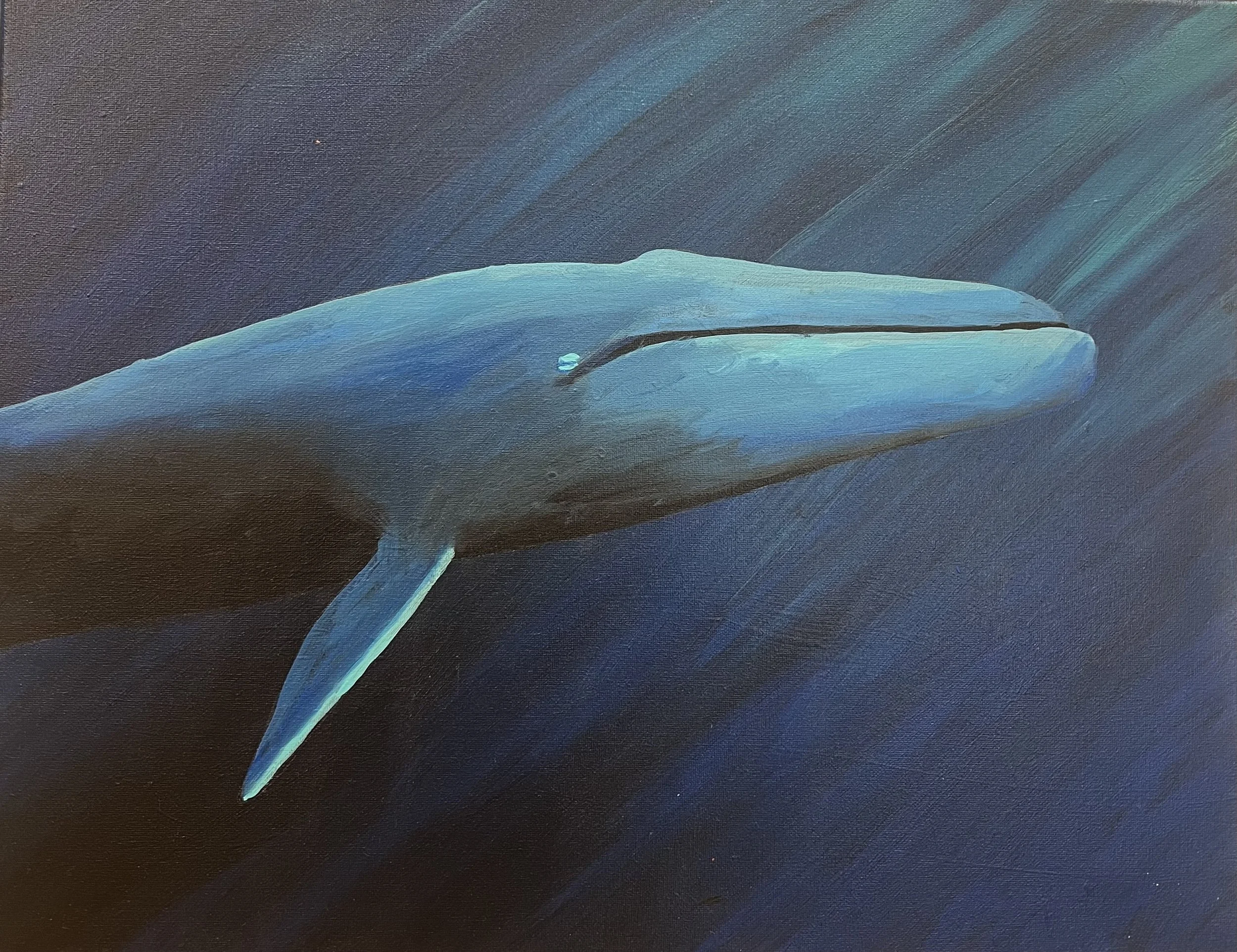 The Spirit of Neptune