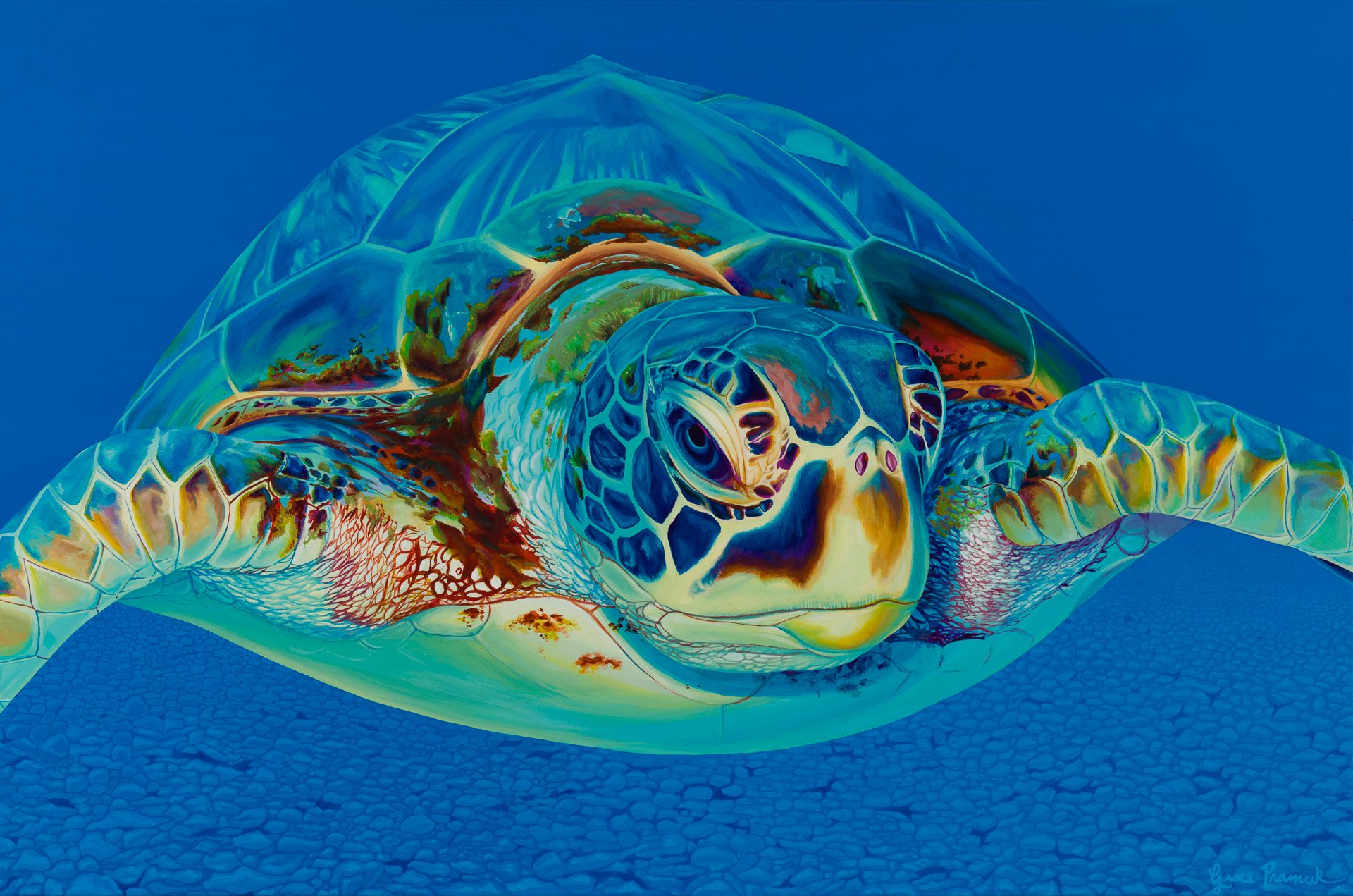 "Ocean's Eye" Giclee Art Print