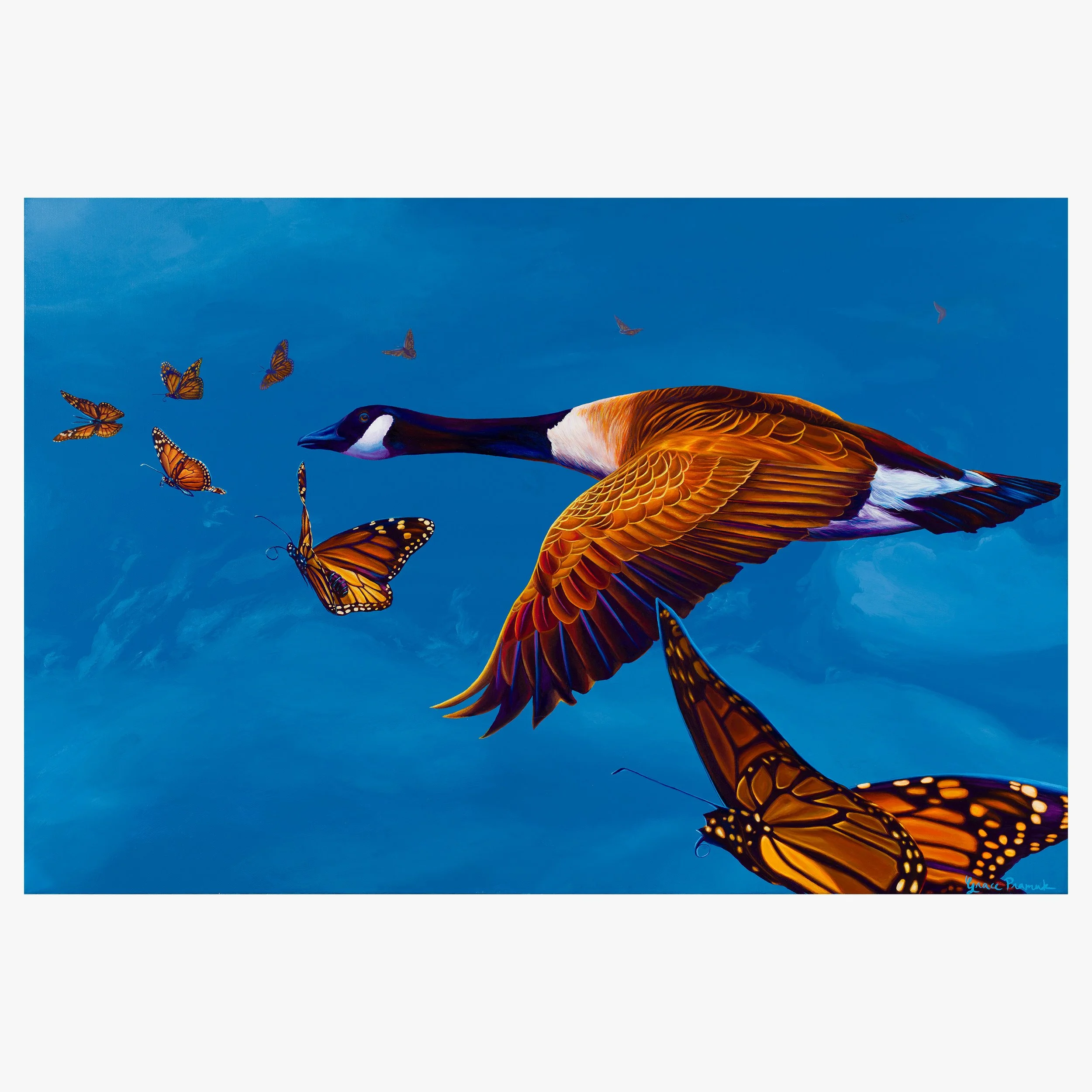 ElMismoCielo_WebsiteProduct.jpg