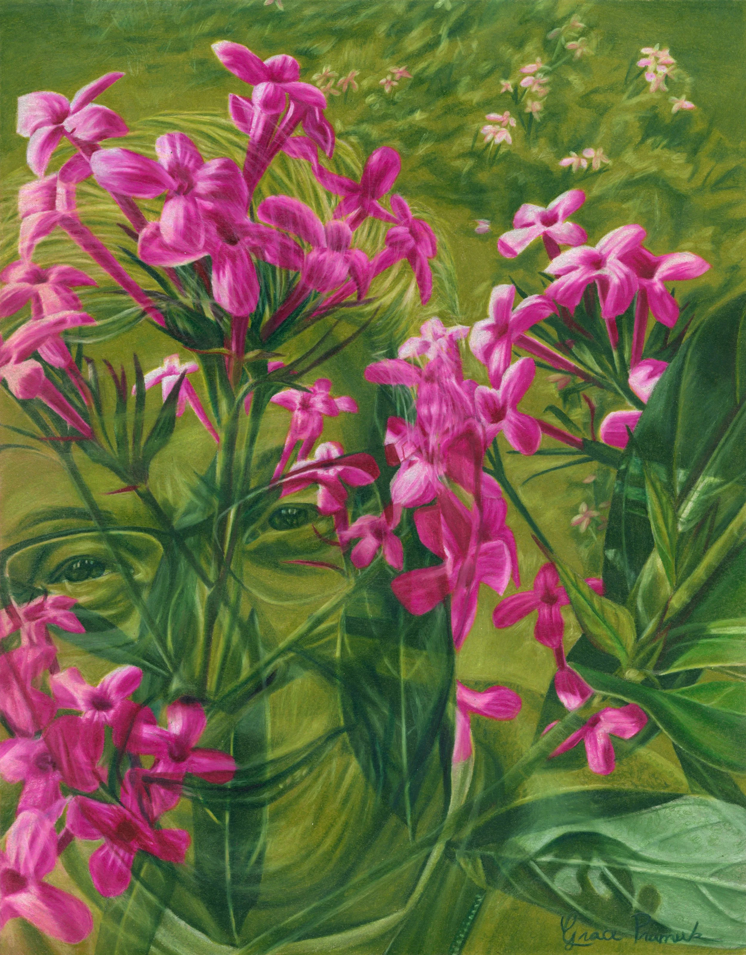 Elder_Flowers_2025_11x14.jpg