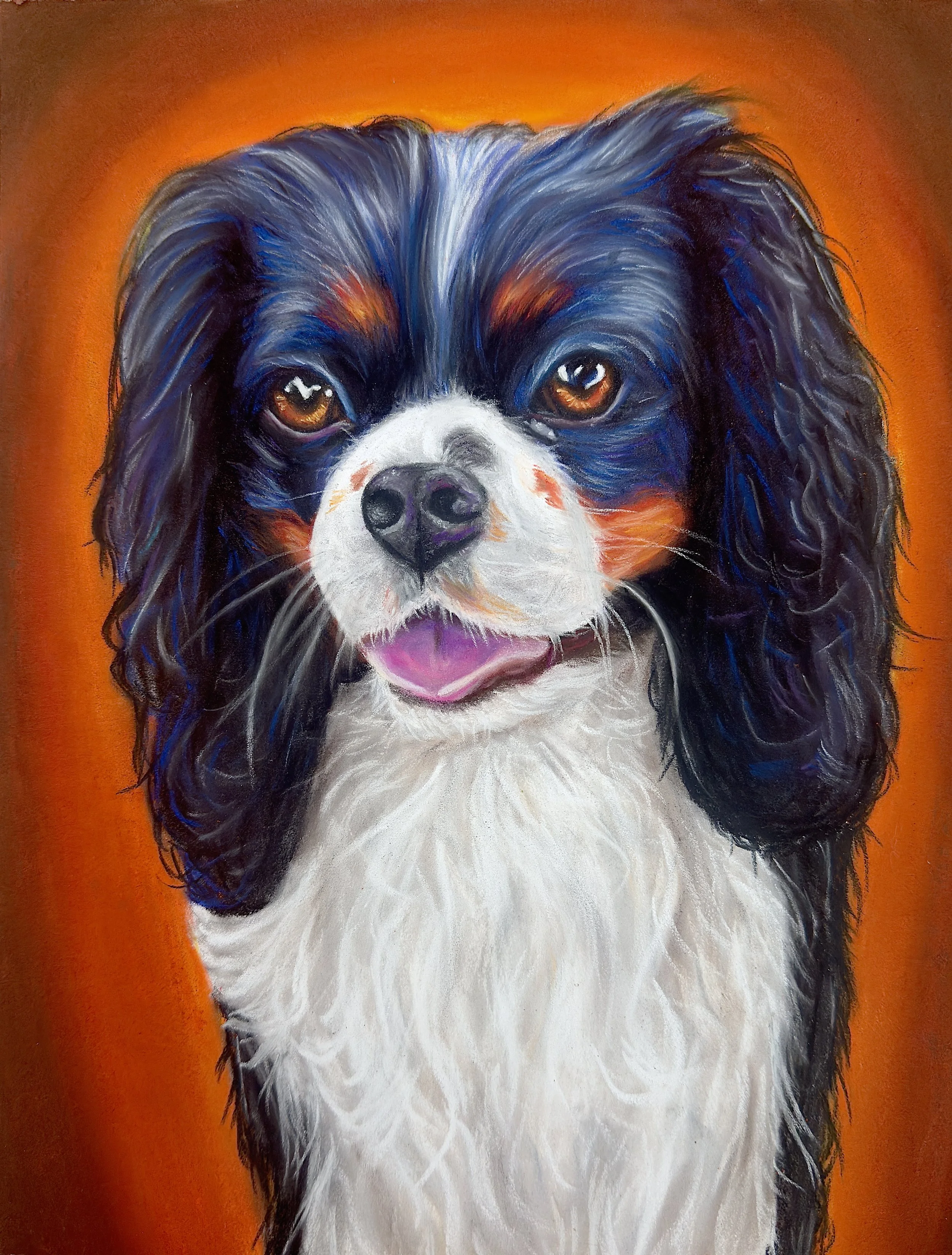 Winston, Pet Portrait Commission, 9 x 12 inches Chalk Pastel on Paper, May 2026