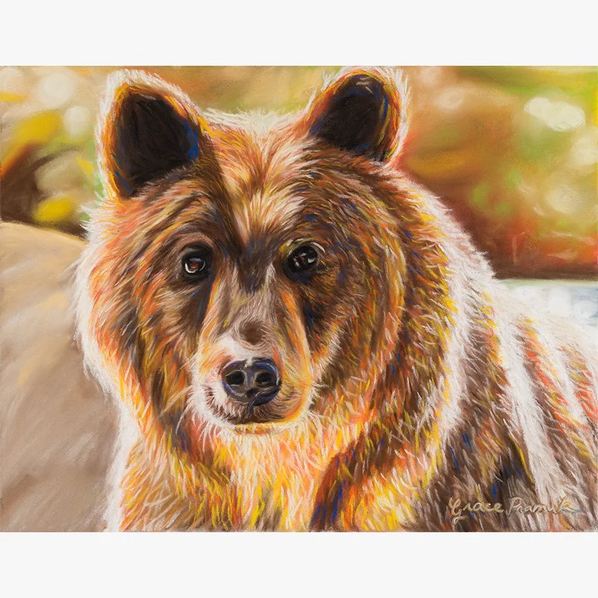 bearprintwebsite.jpg
