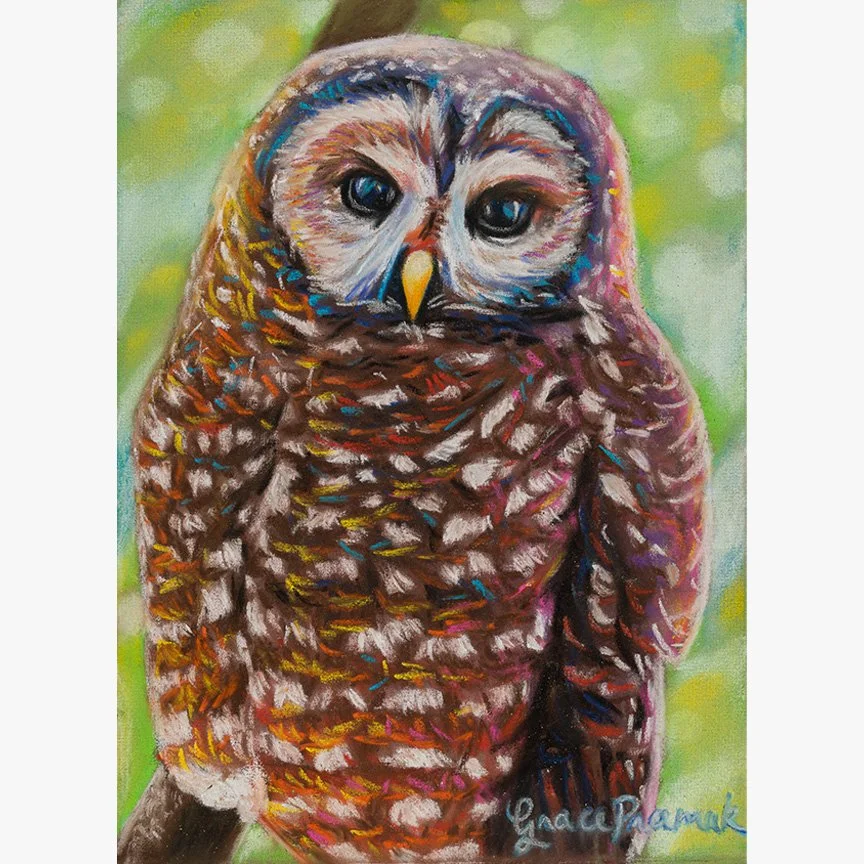 owlprintwebsite.jpg