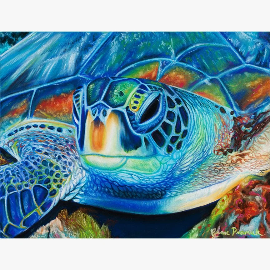 reefsmemoryprintwebsite.jpg