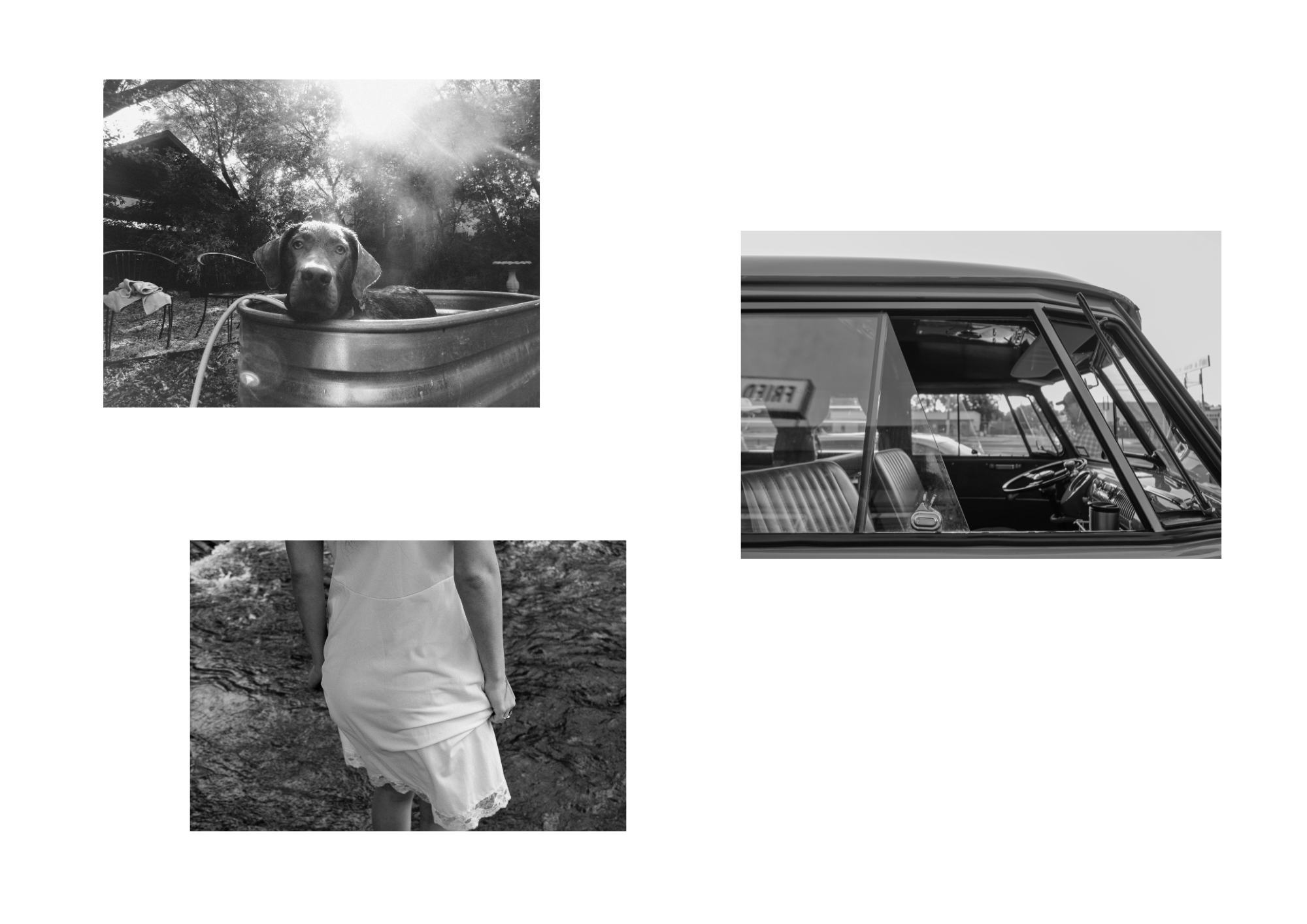 Untitled design (1).png