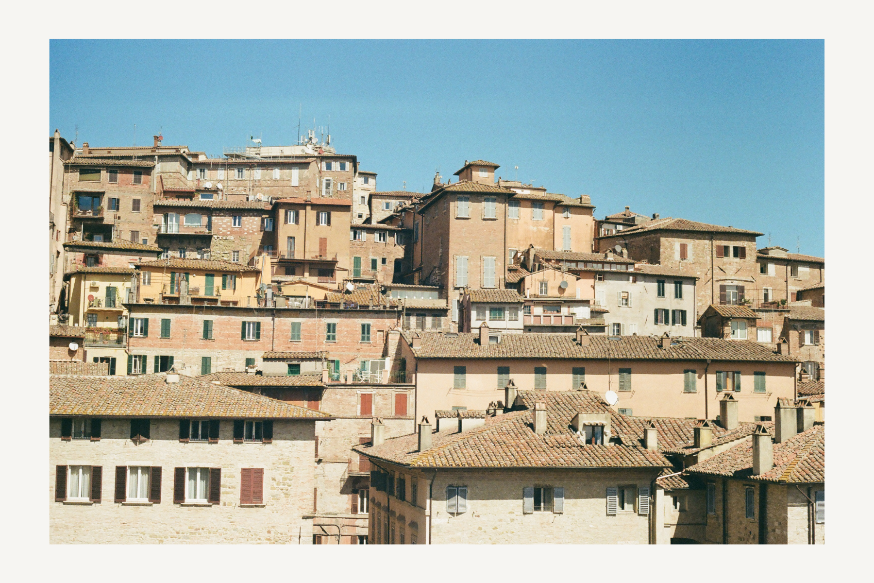 Untitled design (11).png