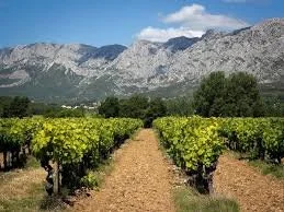 Puyloubier, Bouches-du-Rhône