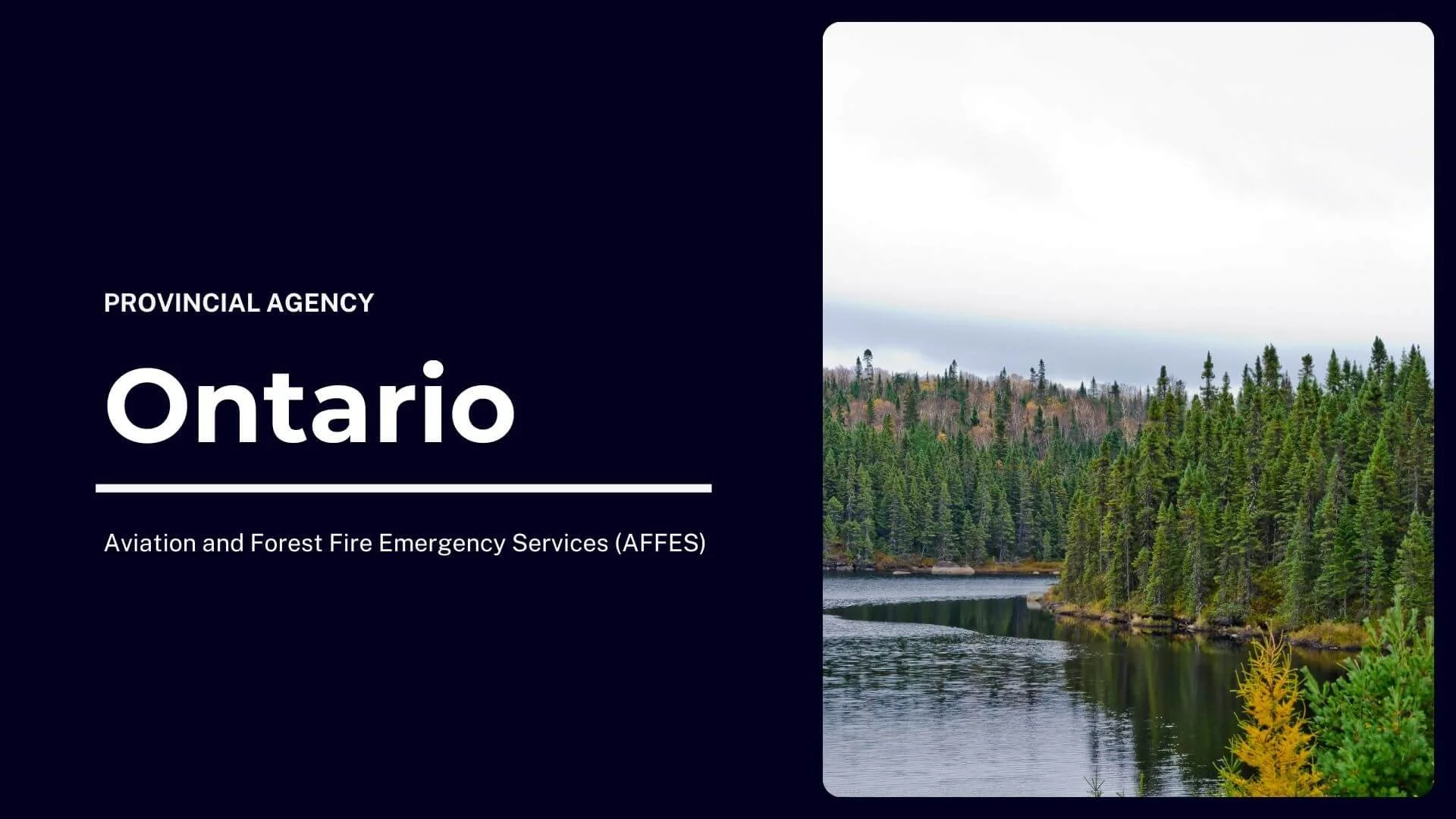 Ontario Wildfire