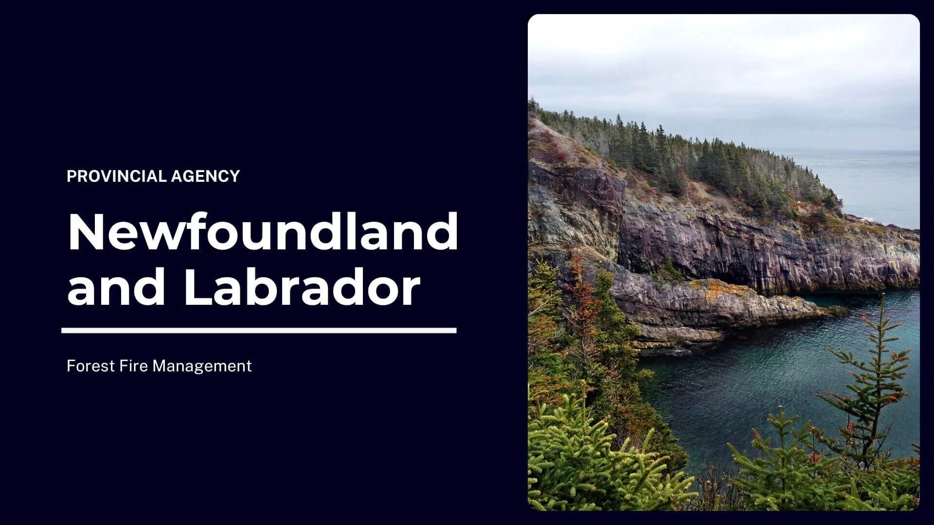Newfoundland and Labrador Wildfire
